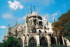 Notre-Dame de Paris. Paris