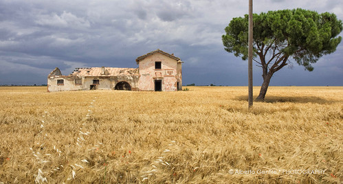 grano sky natura olympus puglia wheat countryside
