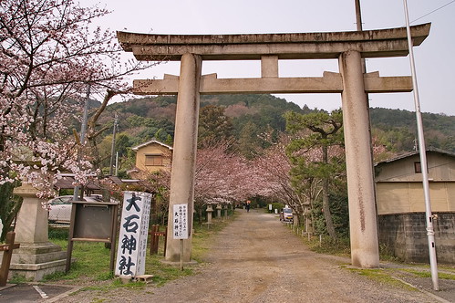 【写真】2013 桜 : 大石神社/2021-10-05/IMGP9018