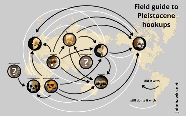 Field guide to Pleistocene hookups