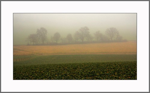 winter fog landscape bavaria nebel felder fields lower landschaft niederbayern nebellandschaft updatecollection