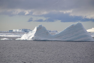 783 Antarctic Sound