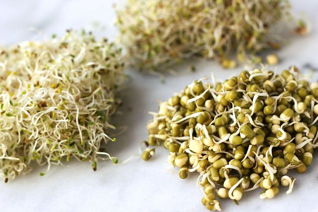 How-to Sprout: Seeds, Beans and Grains