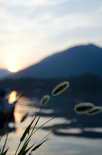 sunset plants mountain green water seaside nikon dusk mie foxtail fishingport kihoku d7000