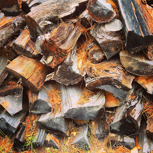 wood autumn orange pine logs stack split needles menominee