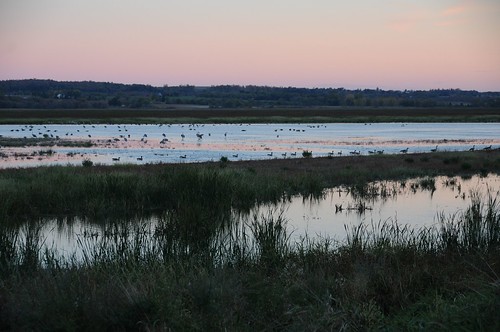 sunset robert wisconsin highway wildlife national 49 marsh wi kramer refuge horicon waupun