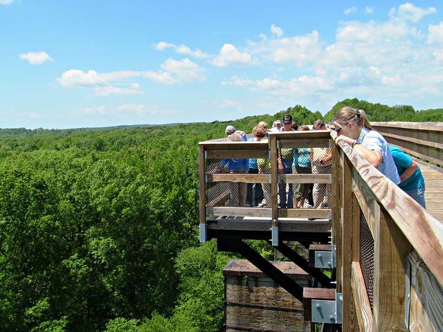 View from the bridge over the treetops at High Bridge Trail State Park Virginia