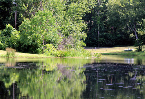 lake water pond florida swamp blackcreek