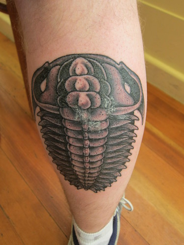trilobyte, tattoo, calf IMG_4935