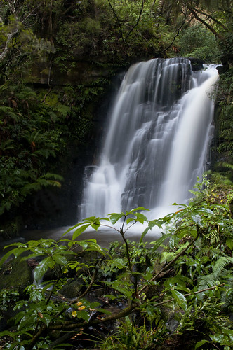 newzealand green forest rainforest waterfalls nz southisland otago catlins matai mataifalls