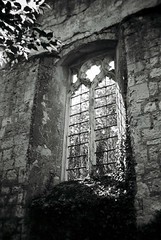 The Ruins of St Mary's - Eastwell