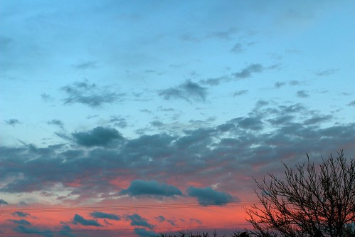 sunset sky usa cloud tree clouds texas eua cielo nubes árbol puestadesol nube закат eeuu небо дерево облака облако сша техас