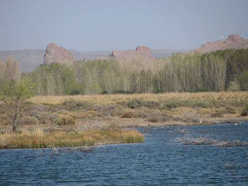 lake southamerica argentina lago patagônia neuquén americadosul sudamerika regiondeloslagos piedradelaguila pichipicun