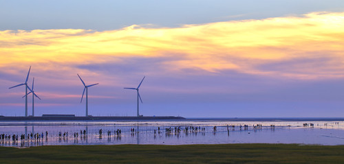 sunset sun reflection windmill canon landscape wind taiwan 夕陽 taichung 台灣 turbine 風景 wetland 台中 濕地 風車 清水 高美 gaomei 風力發電 倒影 kaomei 風景攝影 5d2