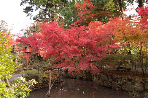 【写真】2012 紅葉 : 鍬山神社/2021-12-10/IMGP5857