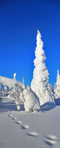 winter panorama sun snow cold ice nature landscape sweden tracks trails freezing swedish elements lapland snowcovered norrland gällivare northernsweden gellivare vertorama tjautjas