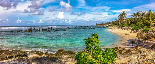 travel sky tree beach water rock clouds island coast pacific earth south small nation rocky palm pinnacle micronesia phosphate nauru anibare