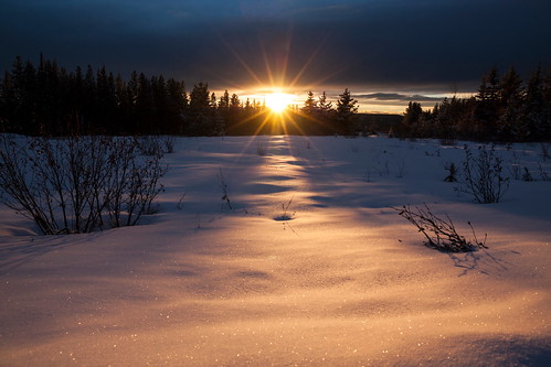 winter sunset sun foothills snow canada alberta pinecreek yellowheadcounty