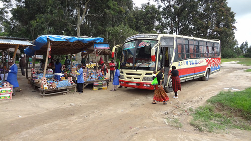 africa bus tanzania roadsidestand