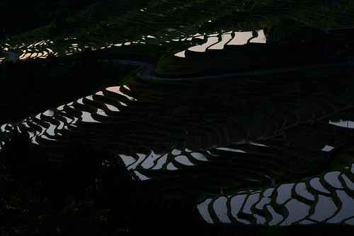 sunset field japan 夕景 田園 棚田 三重県 熊野市 丸山千枚田