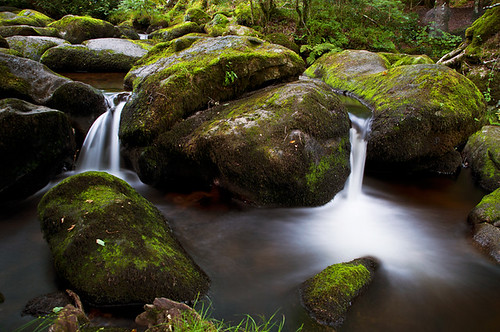 longexposure summer southwest green nature water woodland river landscape waterfall moss woods woodlands rocks whitewater stream afternoon cloudy overcast rapids boulders devon shade brook dartmoor scapes 30sec cameraraw beckyfalls 08august nikond90 10stopnd beckabrook calumettripod tamron18270mmzoom petewatsonphotography camerarawcs5 ©2013petewatsonphotography nisi10stopndscrewon