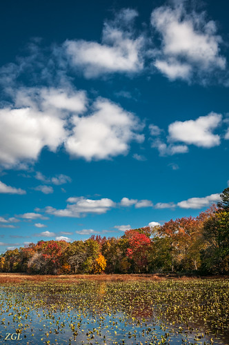 vienna fall unitedstates maryland bigmillpond 1311037764