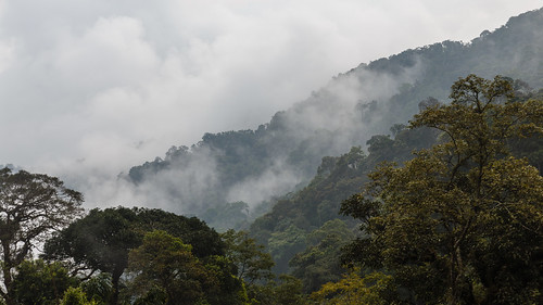 mountain fog clouds forest canon highlands rainforest cloudy foggy tram hills adobe malaysia cablecar kualalumpur selangor lightroom 6d gentinghighlands batangkali canon6d lightroom5