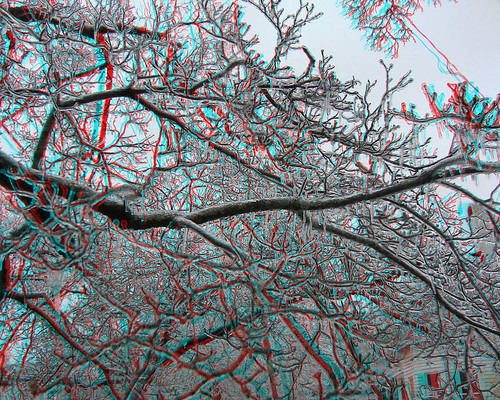 storm tree ice georgia frozen 3d branch branches anaglyph scene stereo february scenes waynesboro anaglyphic