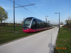 Alstom Citadis 302 n°1013  -  Dijon DIVIA - Ligne T2