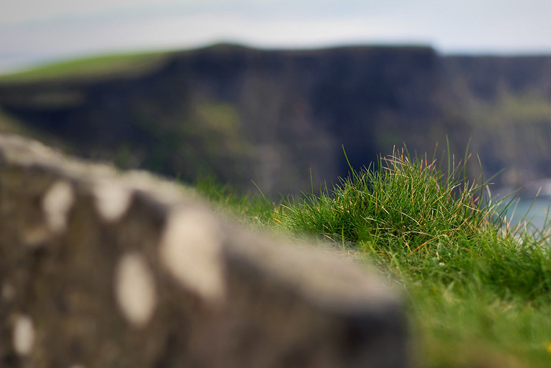 Grass of Moher