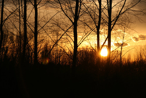 alberi canon eos tramonto natura sole paesaggio 400d