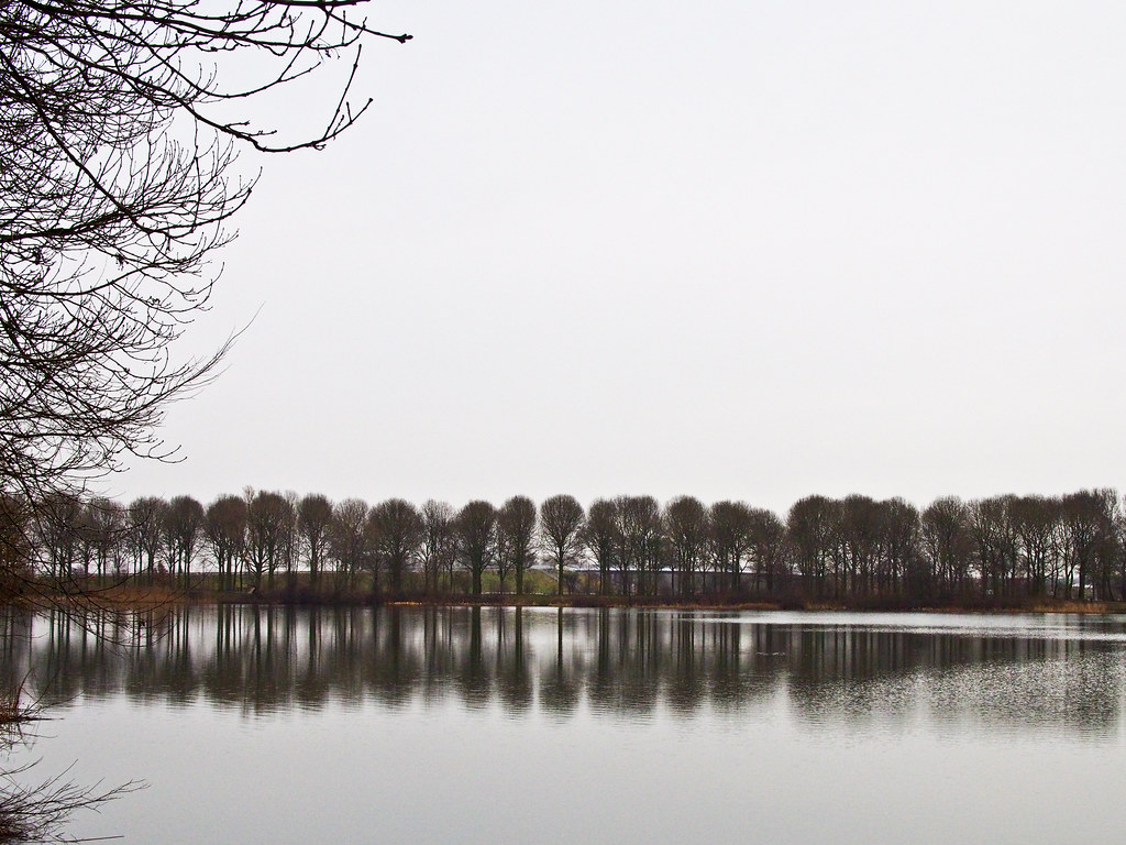 登博斯 冬季 Den Bosch Winter at Lake Rosmalen