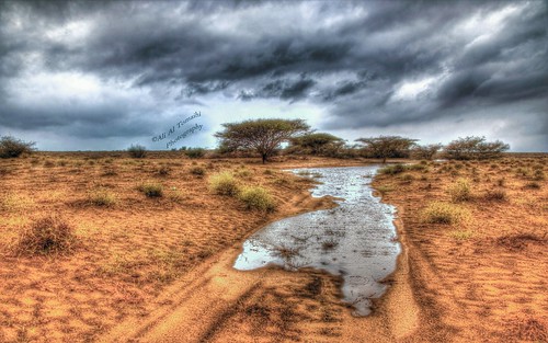 cloud nature rain landscape desert sabia ksa jazan منظر مطر طبيعة صحراء ريف jizan جيزان جازان صبيا الطمحة