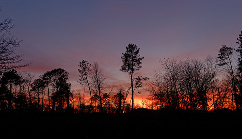 sunset dark arbres coucherdesoleil landes morcenx