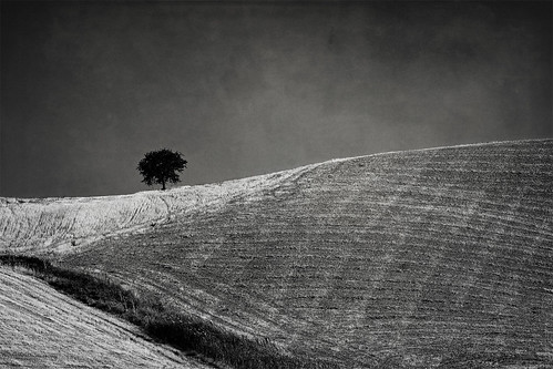 south landscape field hills tree blackandwhite bw mediterranean countryside