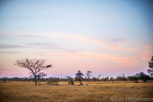 southafrica zonsondergang events natuur mpumalanga landschap bushbuckridge