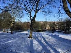 Lister Park in the snow