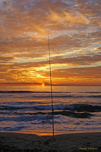 sunset sea sky sun fish beach clouds reflections seaside sand nuvole mare cielo pesca spiaggia canna versilia