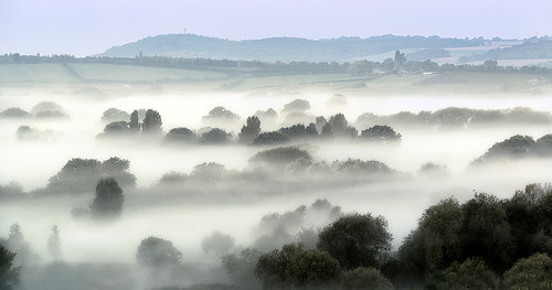 light mist misty landscape nikon mood worcestershire d610 offenham mistytrees jactoll nikonfxshowcase