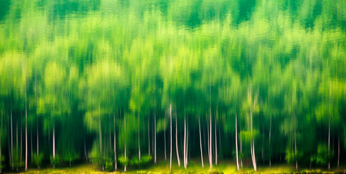 wood lake reflection lac bosque reflejo foret euskalherria basquecountry embalse gipuzkoa basoa lareo ataun urtegia nikkor28200mm d700 28200mmf3556d nikond700