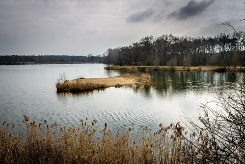 lake landscape czech jezero pískovna tišice mělnicko
