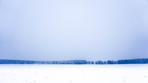 winter sky white snow field skyline landscape meadow treeline vast trealine