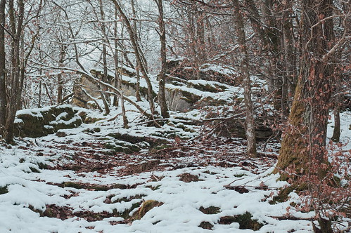 winter snow forest landscape rocks ardennes luxembourg manualfocus luxemburg lour manuallens m42mount lieler cosinon50mmf17 sonynex5r lewist584