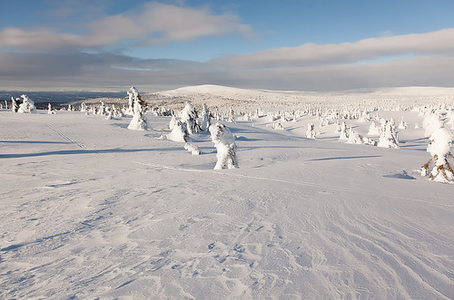 winter snow norway norge lillehammer noorwegen sjusjøen 2015 sjusjoen opplandfylke lunkefjell hedmarkfylke