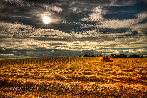 road county ireland nikon time sunday harvest down explore combine slider northern tamron hdr harvester newtownards 1024 hss d90 comber ballyhenry magicunicornverybest