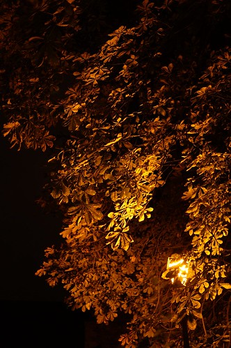 nightphotography tree night lamppost onceuponatime sal35f18 slta37