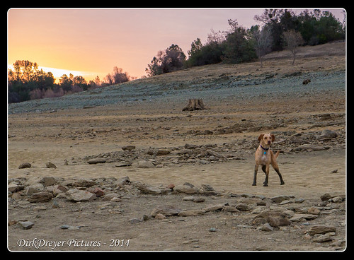 california water sunrise landscape lumix unitedstates outdoor folsom panasonic sacramento eldoradohills m43 folsomdam mirrorless microfourthirds m43ftw dreyerpicturescom