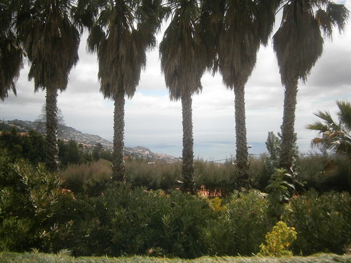 Ausblick über die Bucht von Funchal
