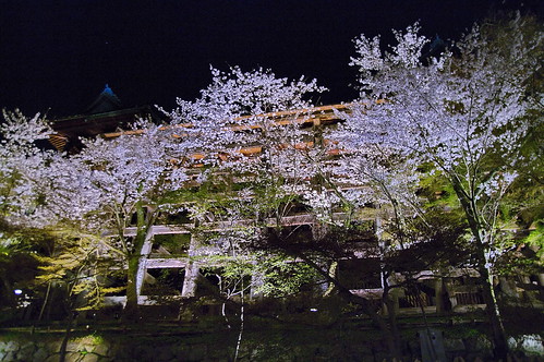 【写真】2013 桜 : 清水寺/2020-08-13/IMGP9394