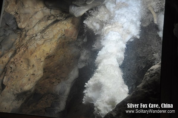 silver fox cave